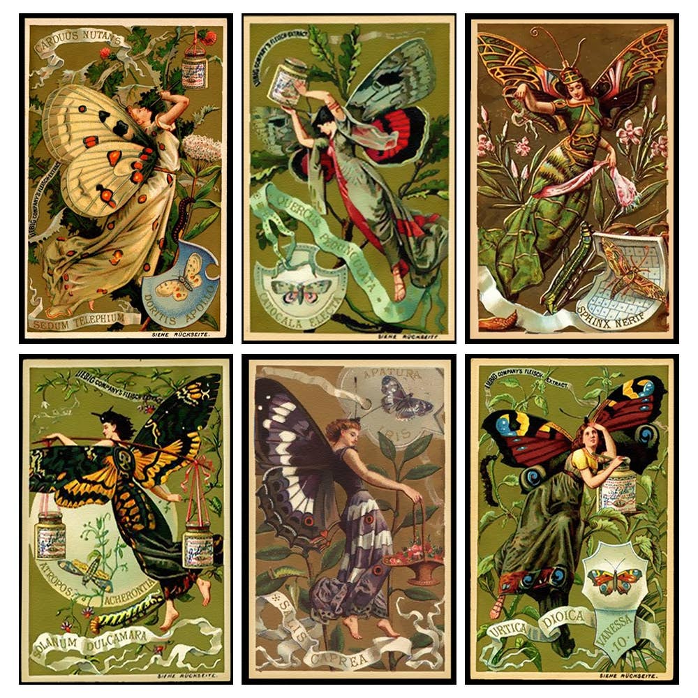 ANN415 - Farie Tincture Label Mini Matchboxes