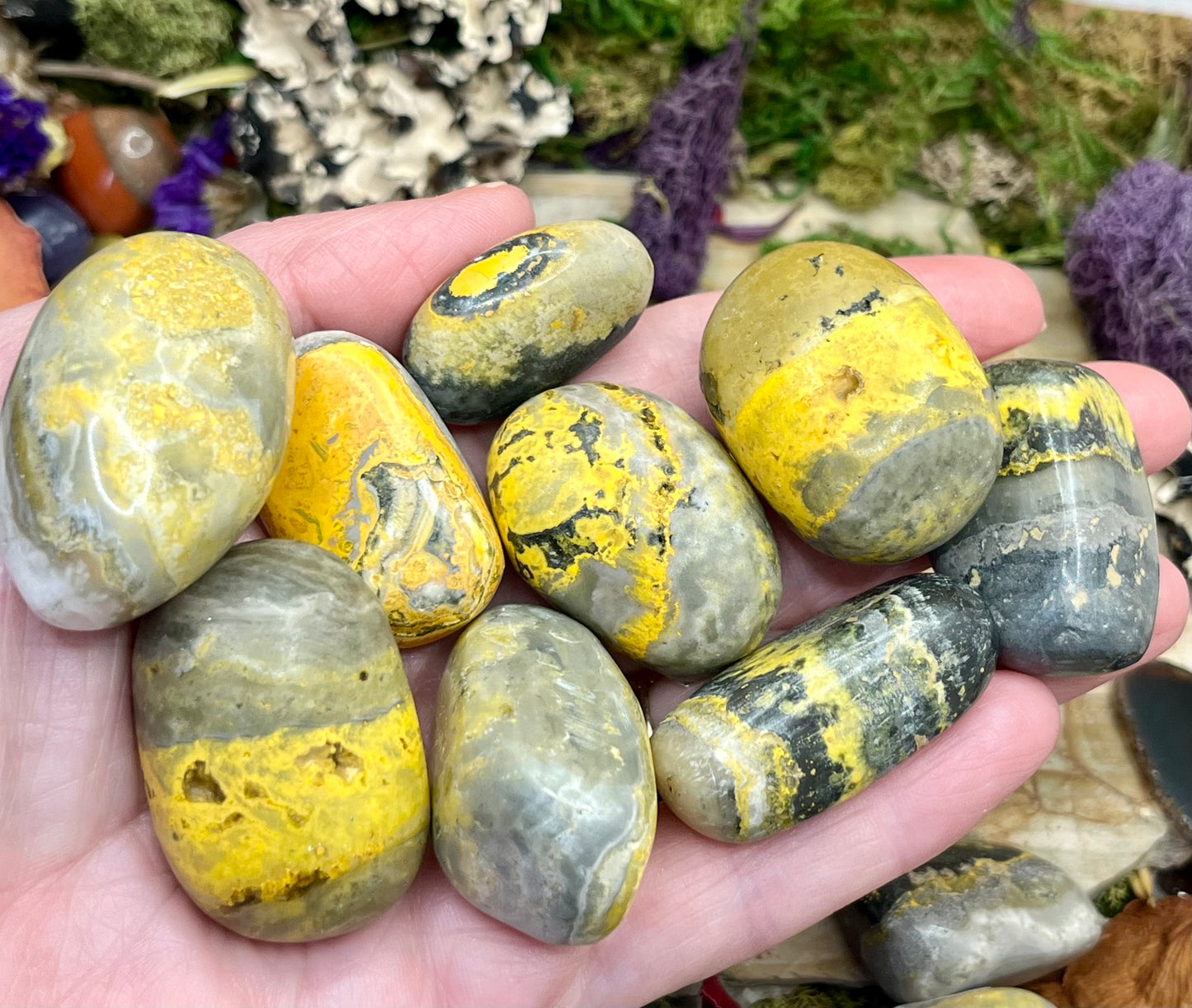 Bumblebee Jasper Tumbled