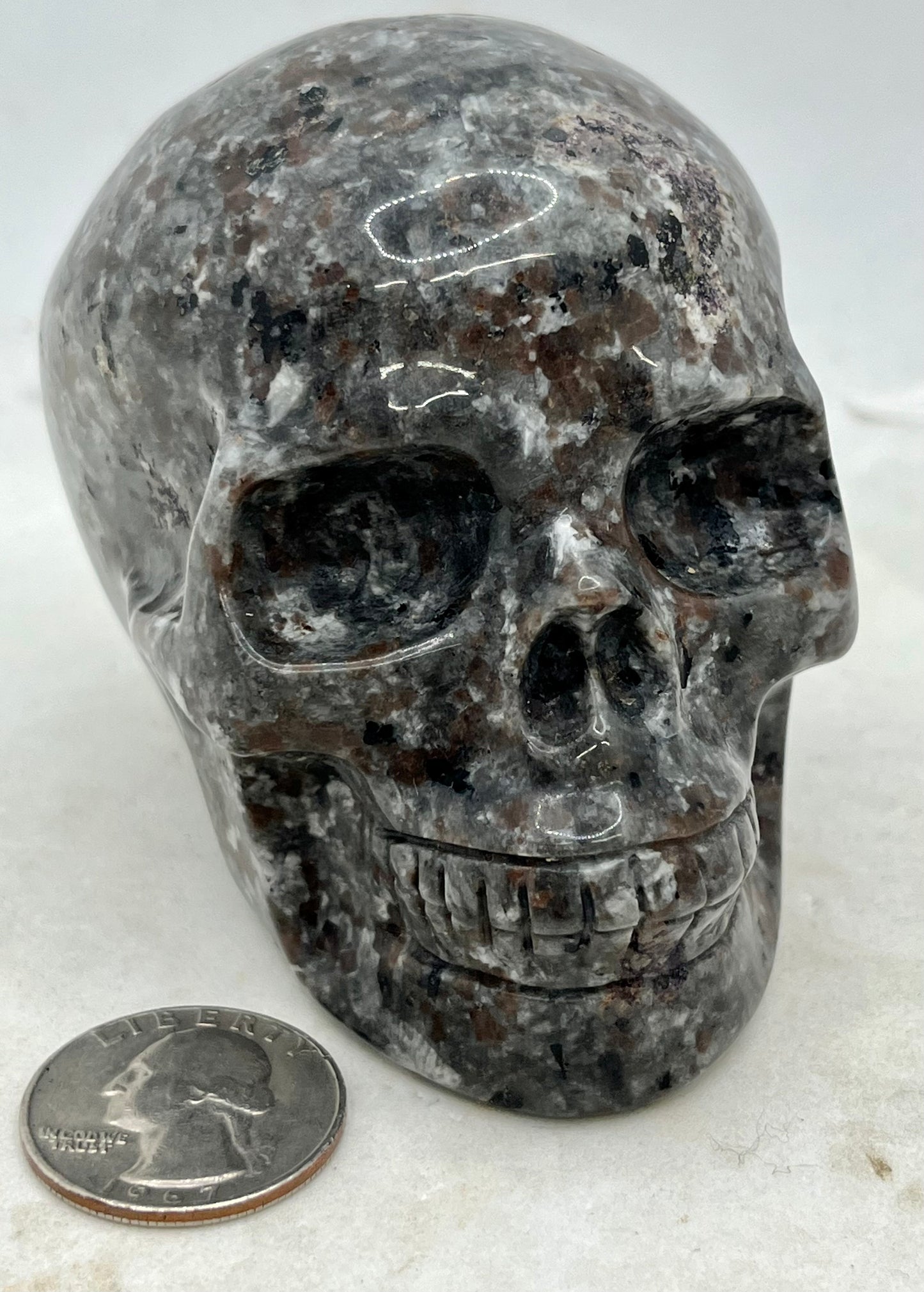 Yooperlite Skull