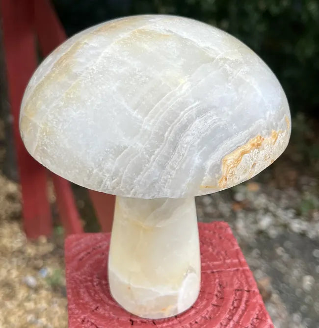 Giant Carved Mushroom- Agate