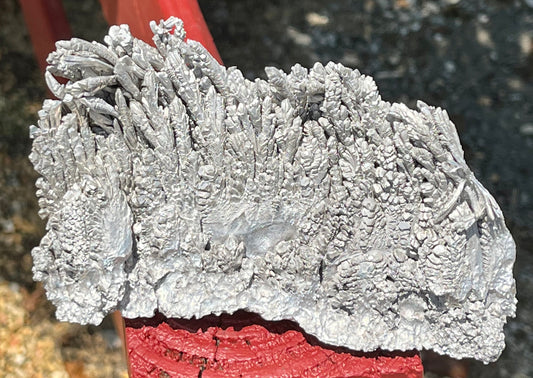 Magnesium Specimen