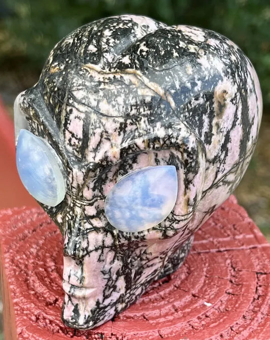 Alien Head