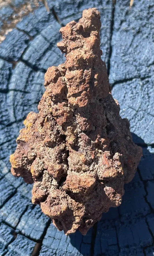 Corprolite - Fossilized Dino Poop