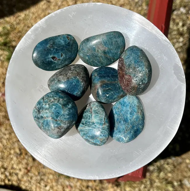Blue Apatite Tumbled Stones