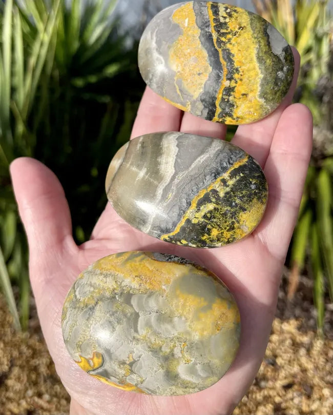 Bumblebee Jasper Palm Stone