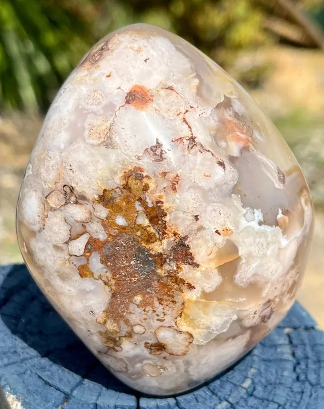 Flower or Cherry Blossom Agate Flame