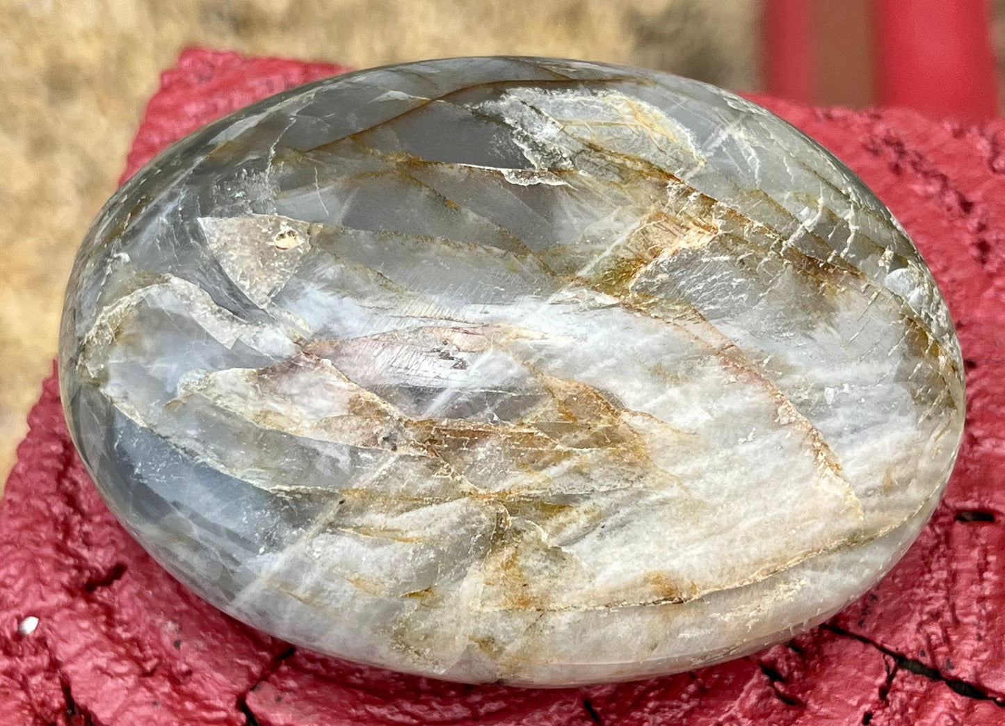 Black Moonstone Palm