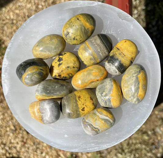 Bumblebee Jasper Tumbled