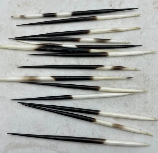 Porcupine Quills