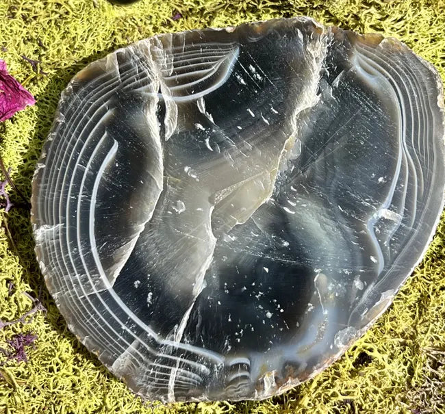 East Timor Agate