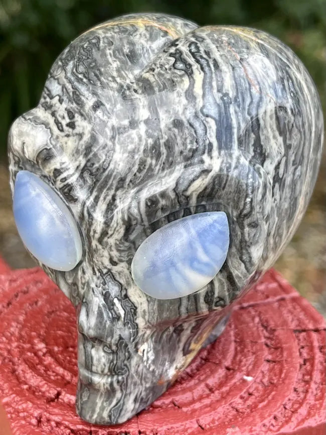 Alien Head