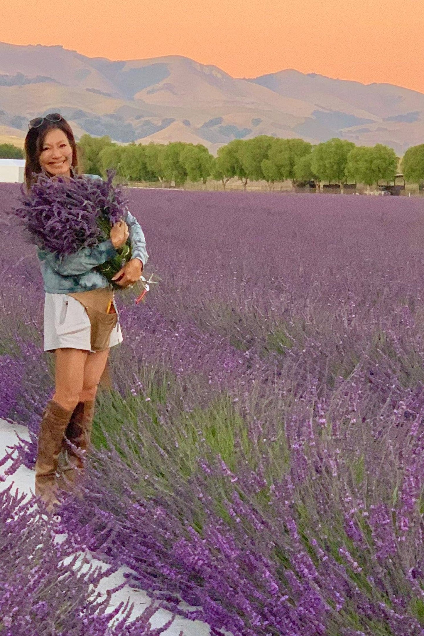 Fragrant Lavender Sachet Bags - 2 Pack: 2 Purple