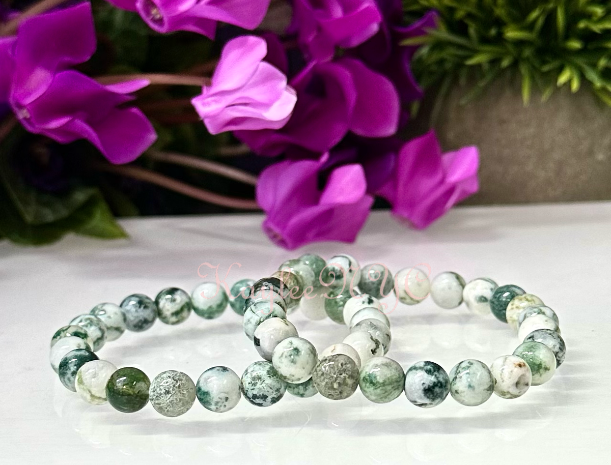 Natural Tree Agate 8mm Crystal Healing Stretch Bracelet 7.5"