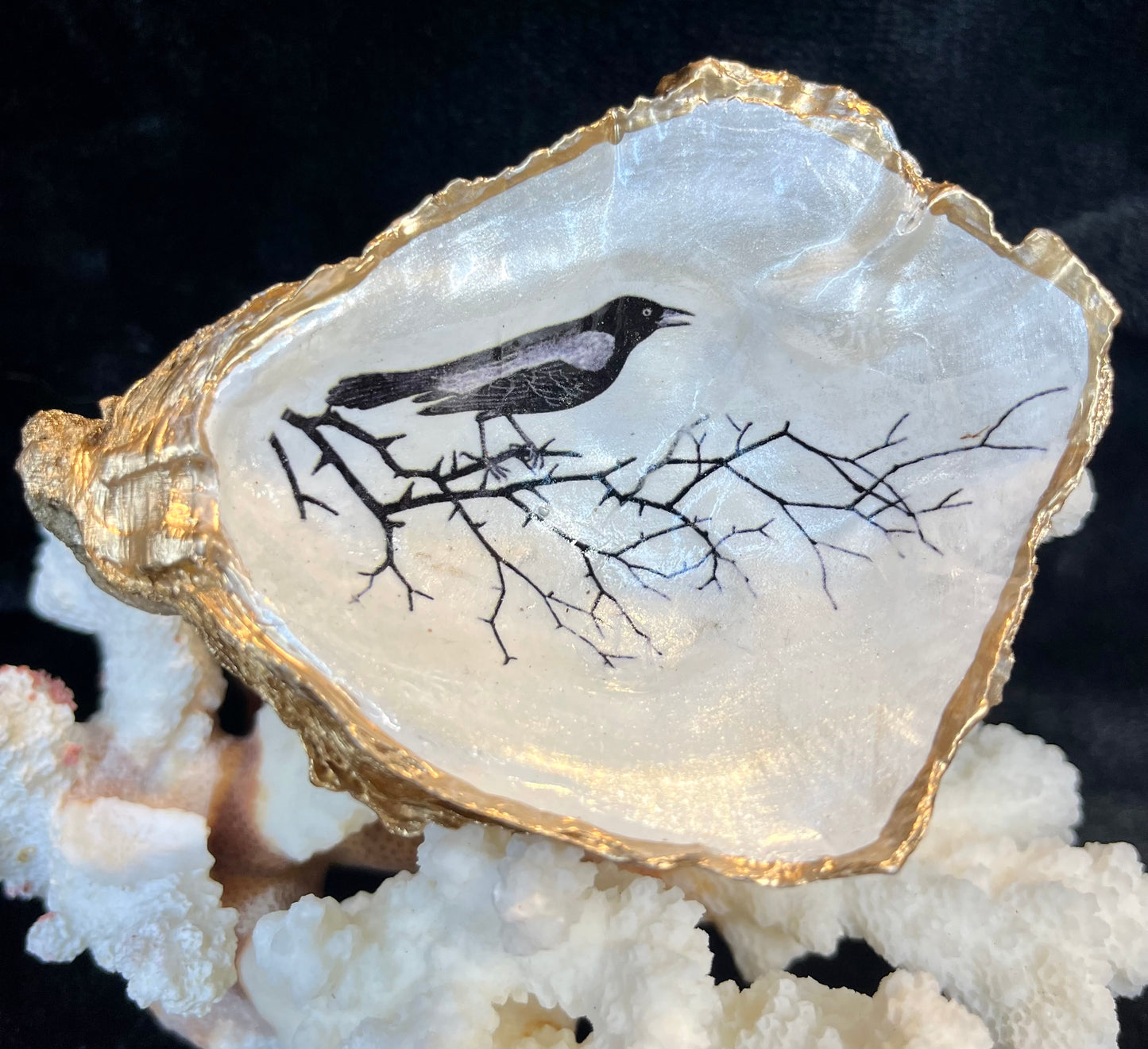 Raven - Hand Painted Oyster Shell