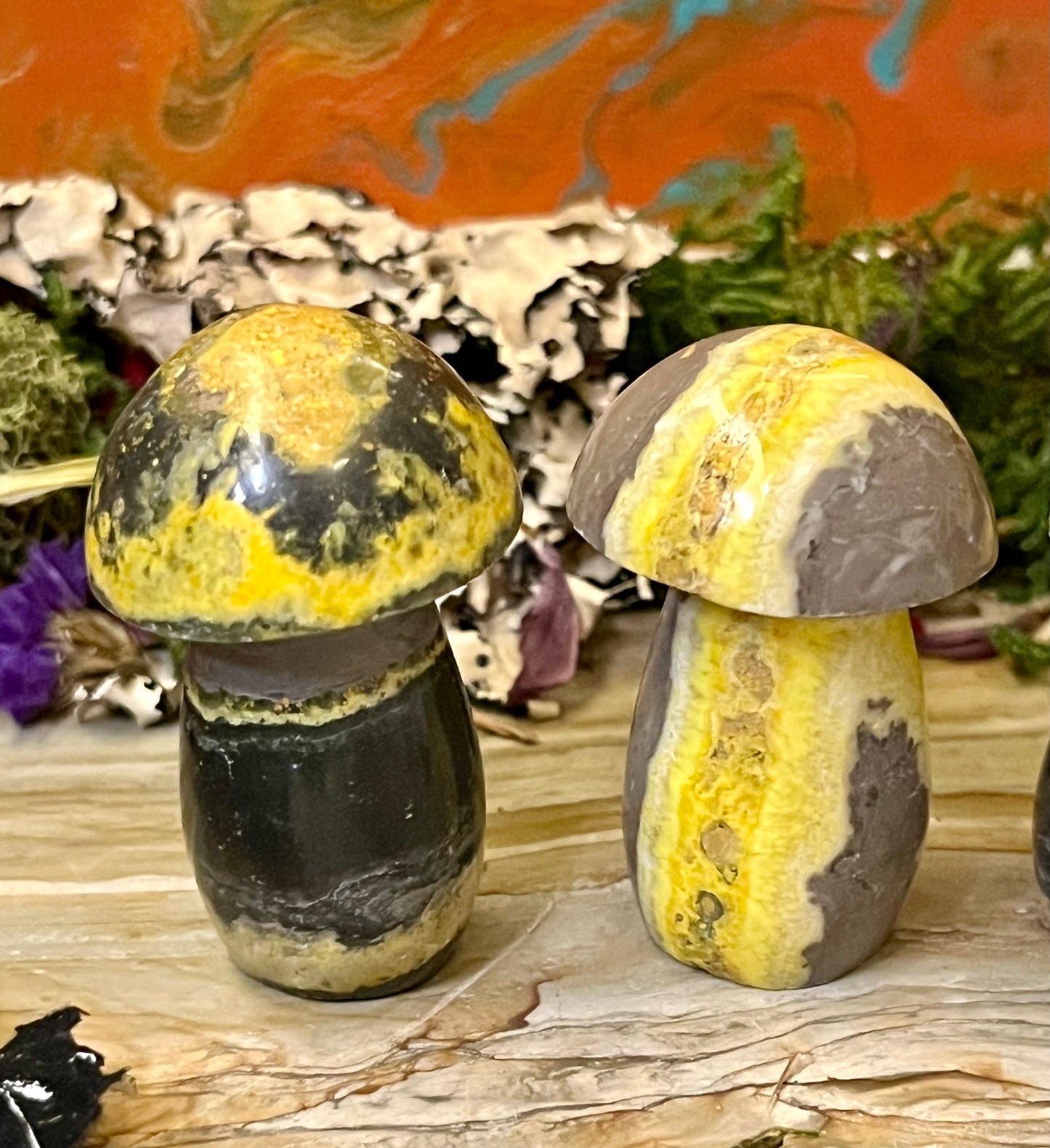 Bumblebee Jasper Mushroom