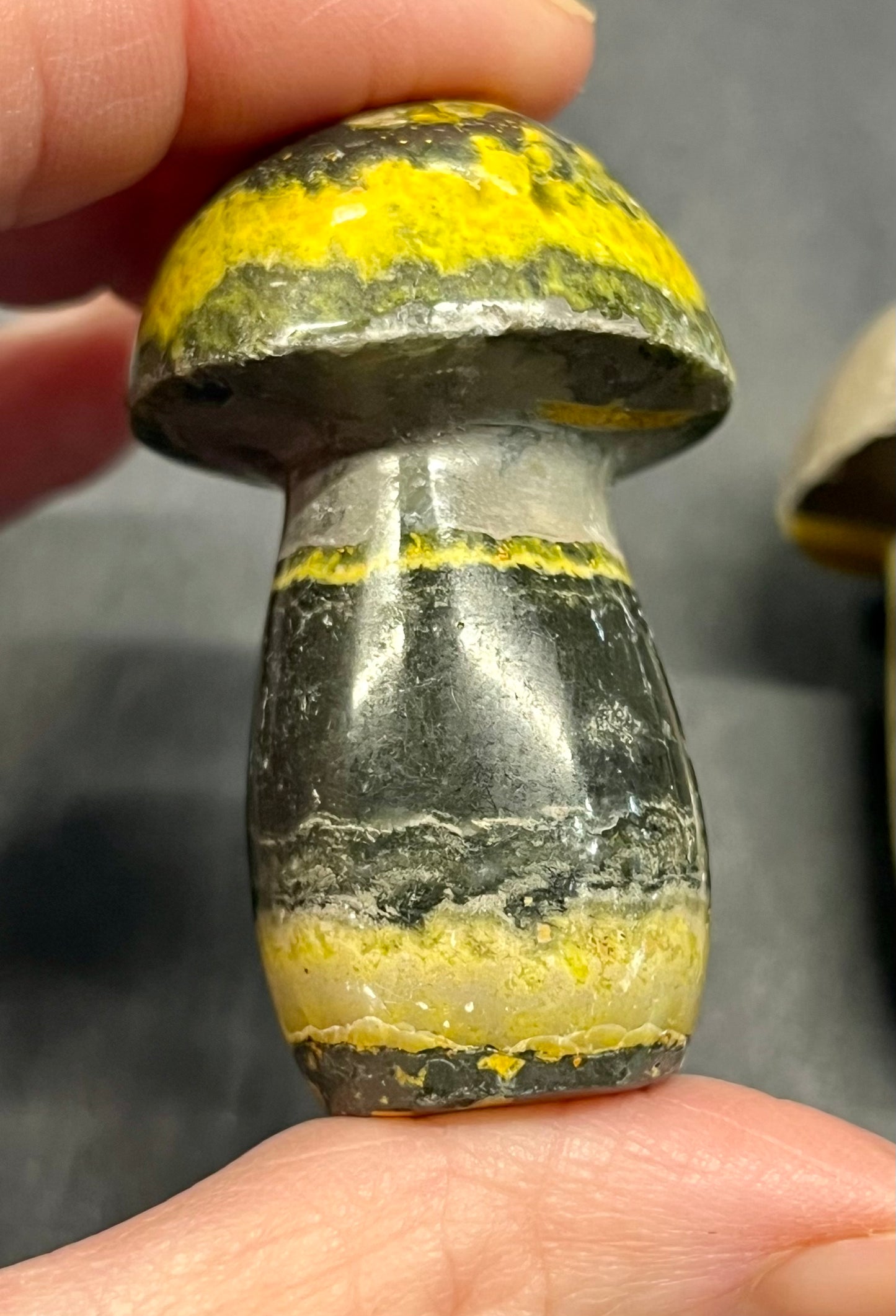 Bumblebee Jasper Mushroom