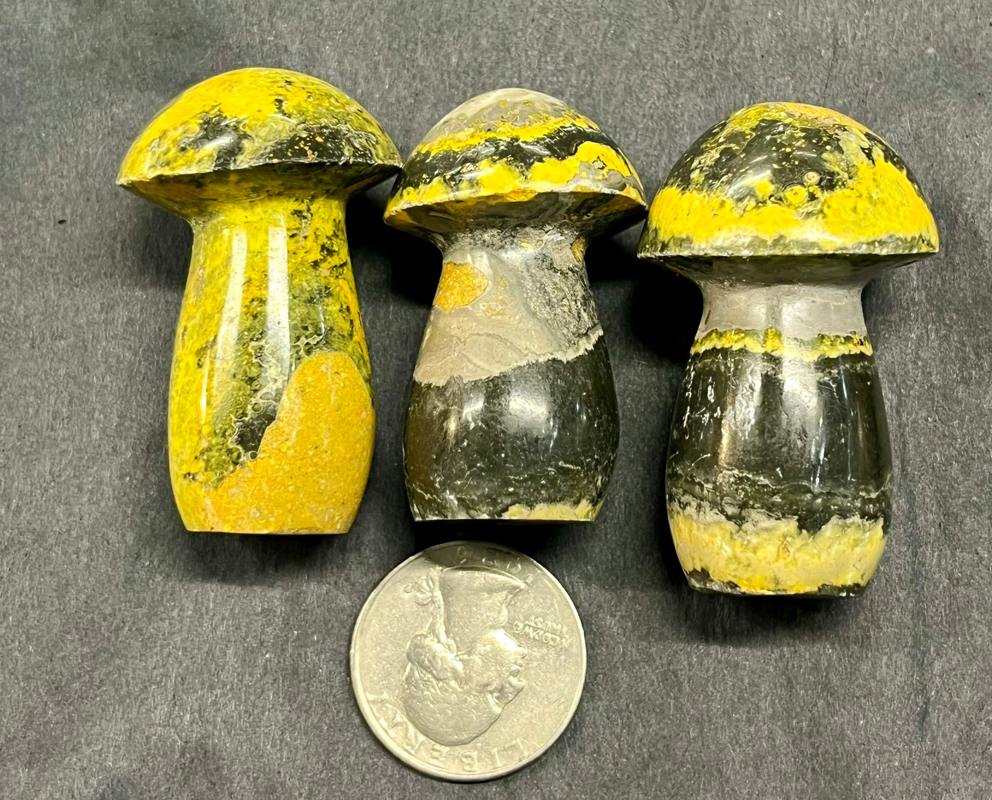 Bumblebee Jasper Mushroom