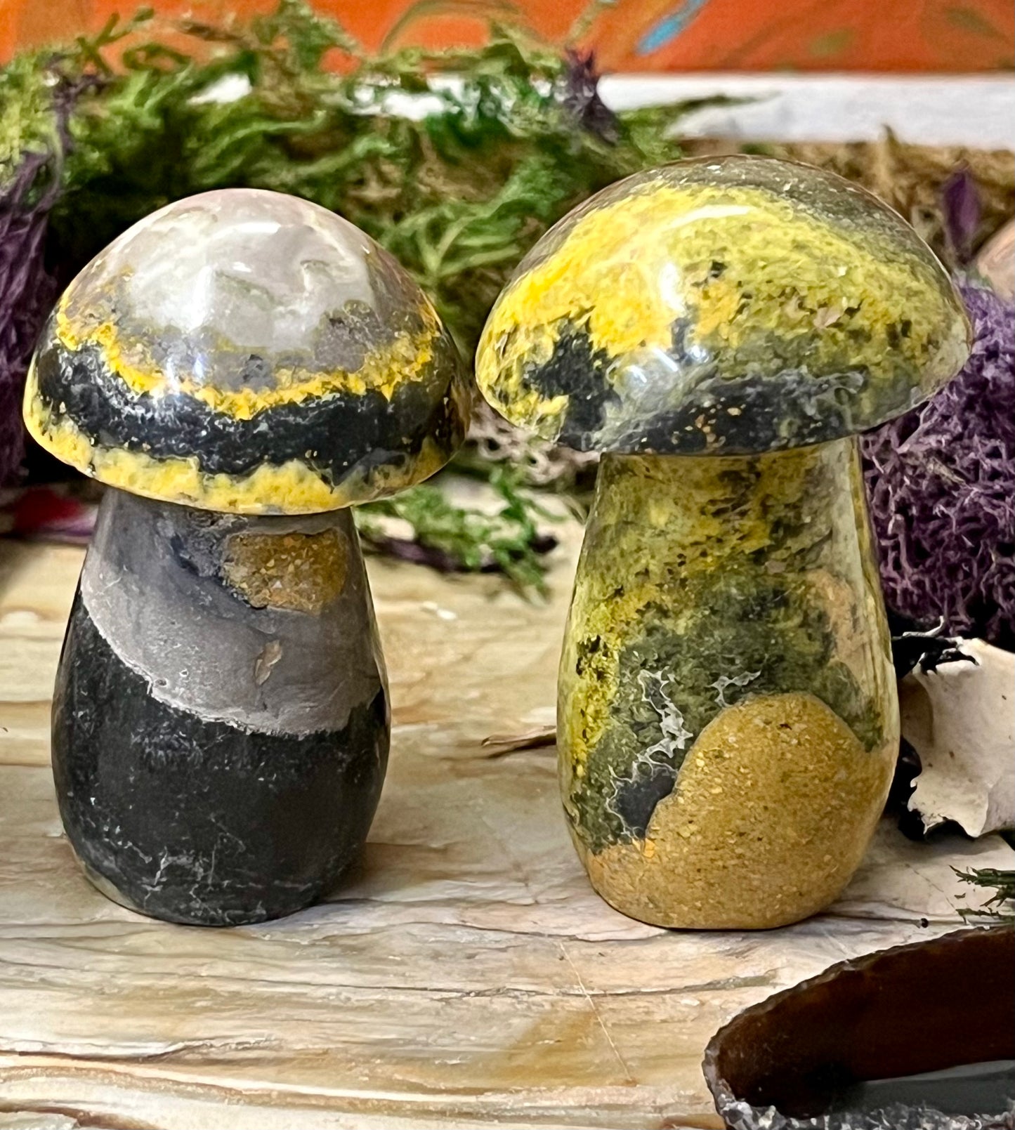 Bumblebee Jasper Mushroom