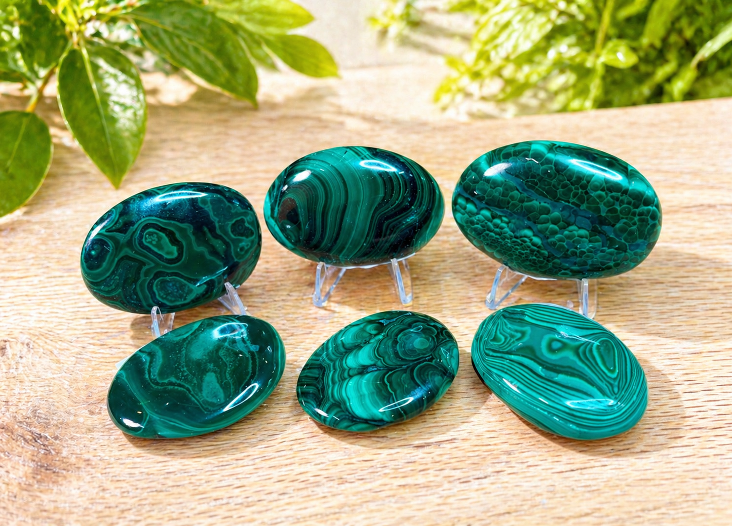 Malachite Palm Stone