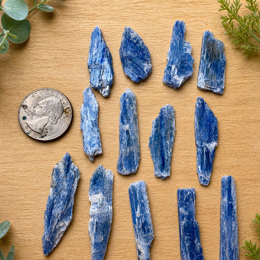 Blue Kyanite Blades - Raw/Rough set of 4