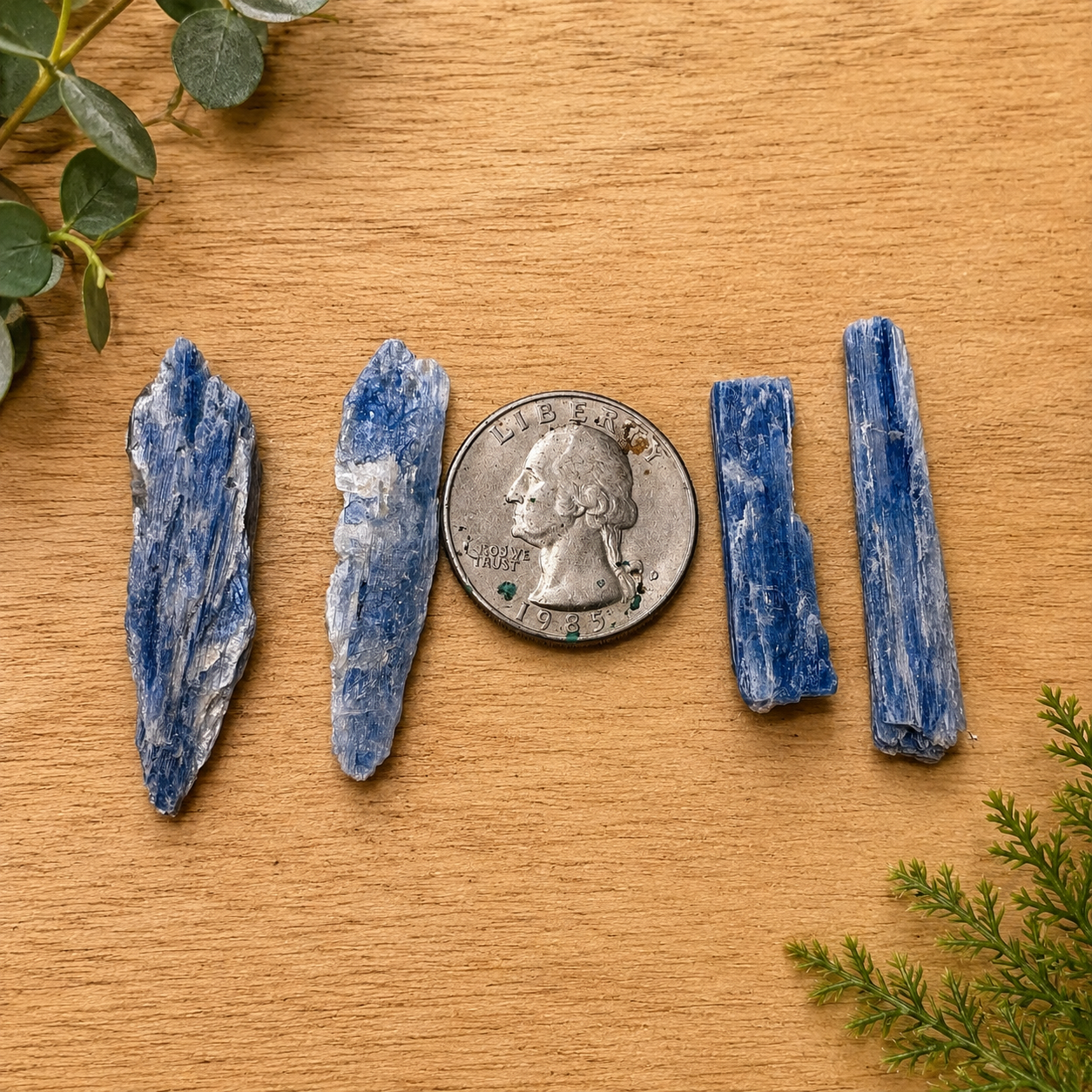 Blue Kyanite Blades - Raw/Rough set of 4