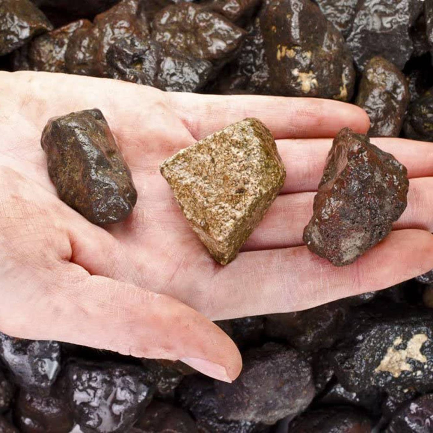 Rough Lodestone - USA - Raw Natural Stones (1 lb)