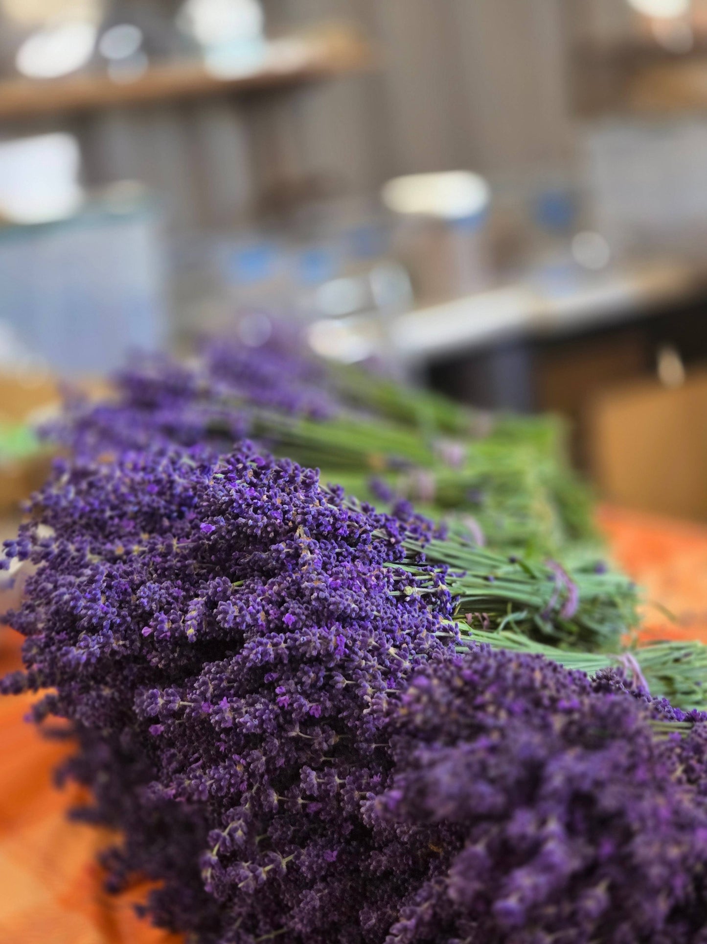 Mini Dried Lavender Posies – Place Settings, Rustic Weddings: Style 1