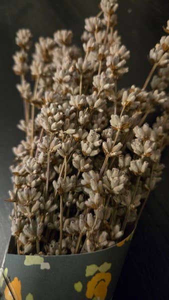 Lavender Posy Bouquet - Farm-Grown Dried Lavender: Purple
