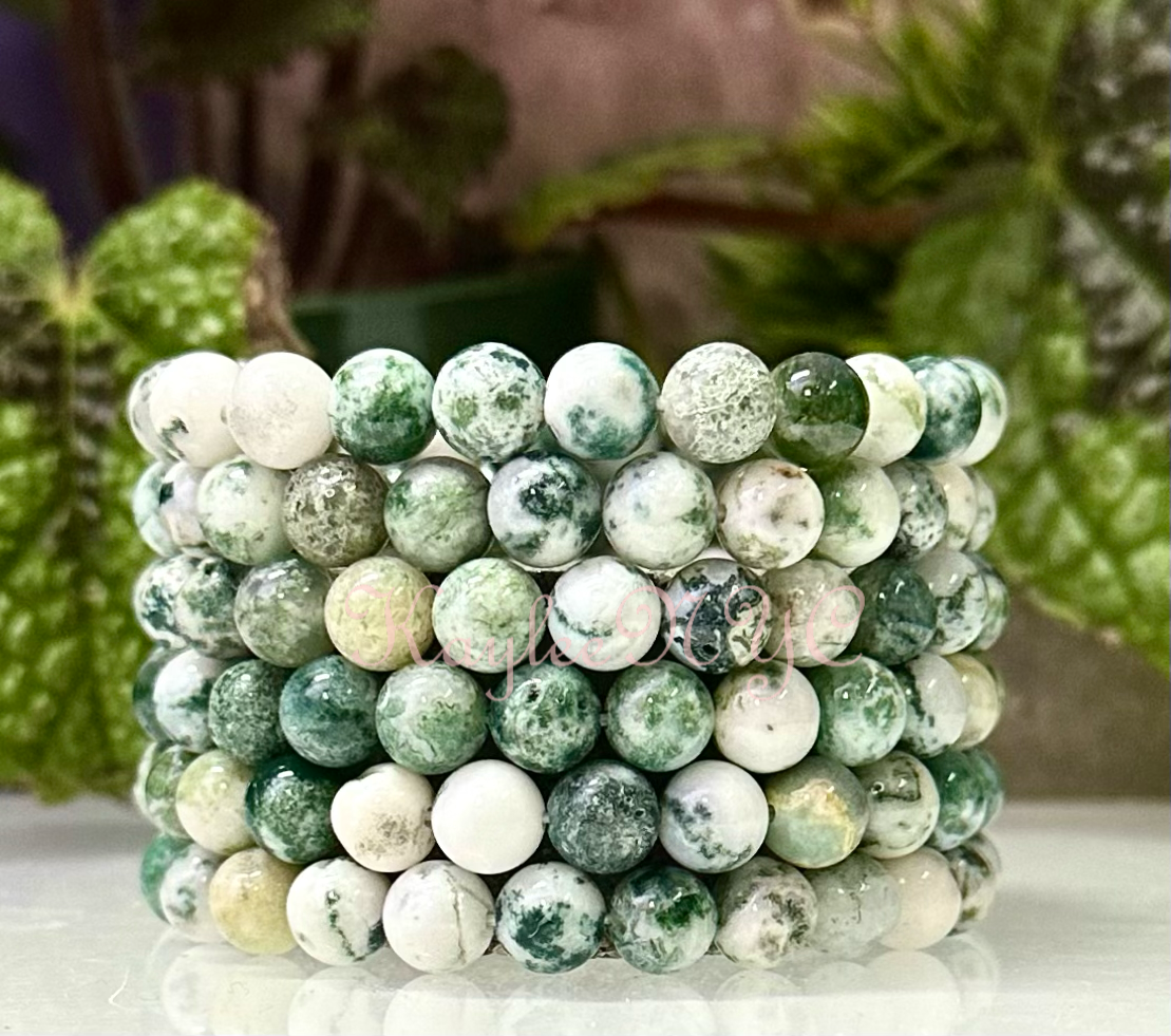 Natural Tree Agate 8mm Crystal Healing Stretch Bracelet 7.5"