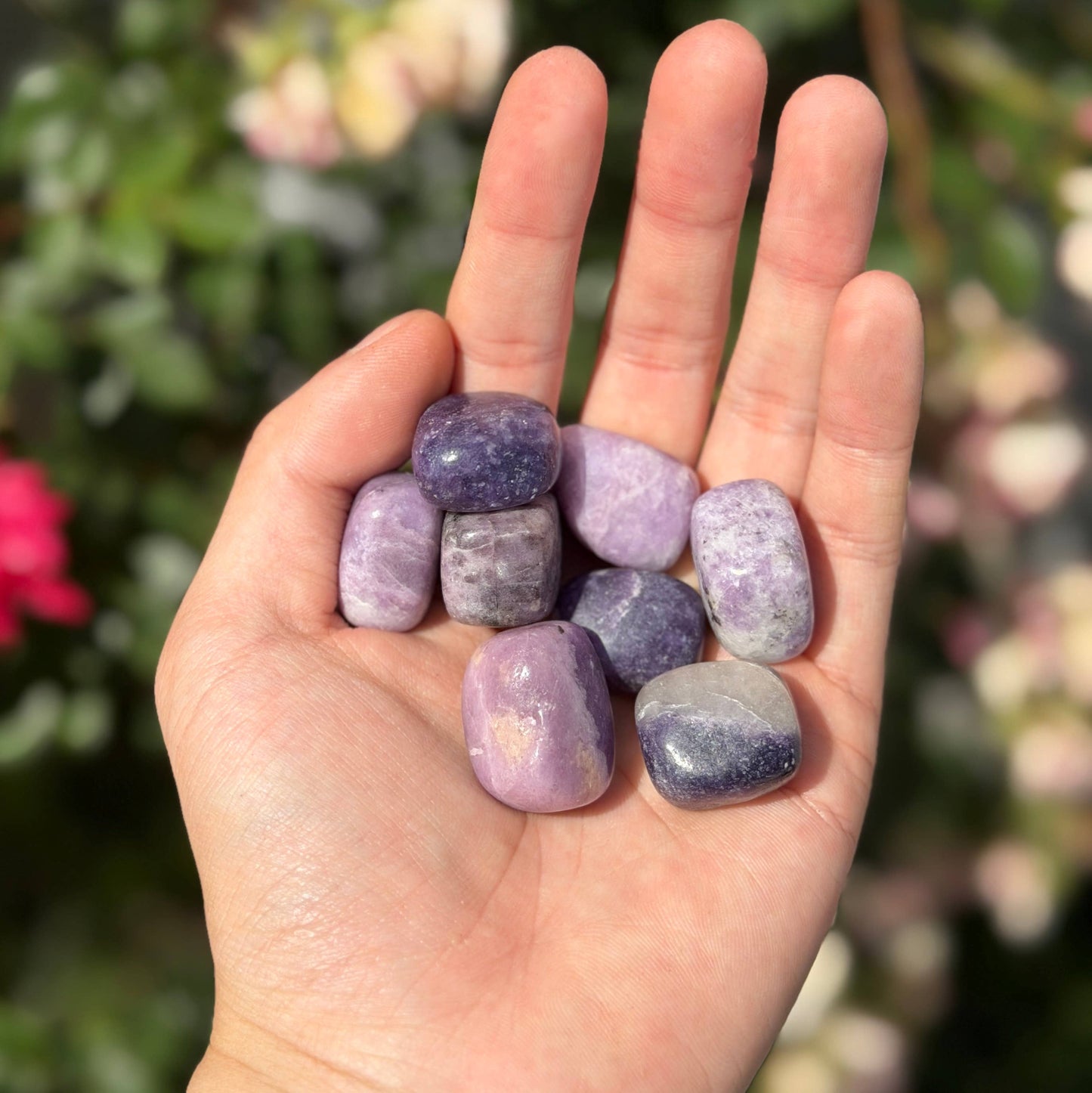 Wholesale Lot – 2 lbs Natural Lepidolite Tumble Crystals