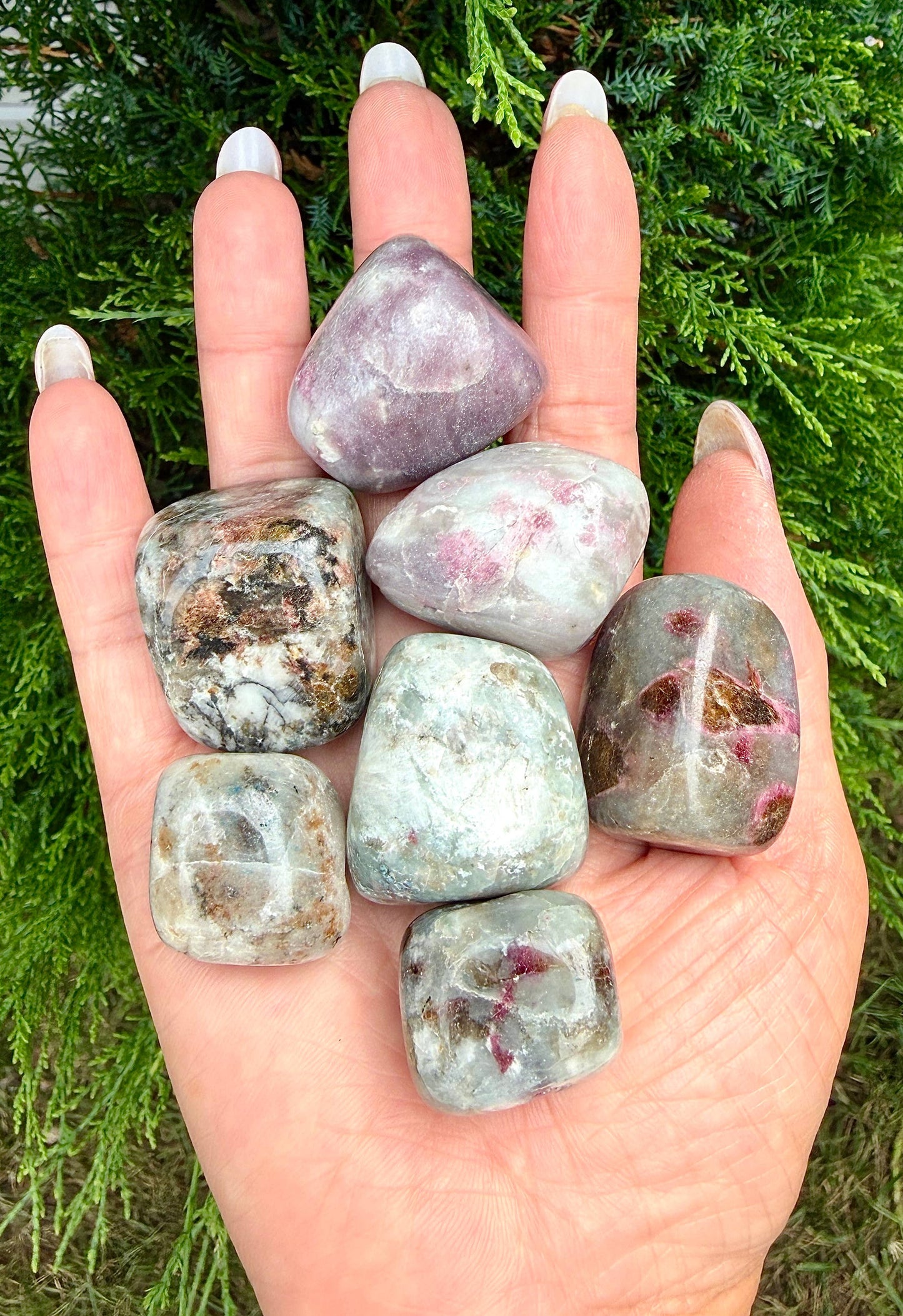 2 lbs Natural Unicorn StoneTumble Crystal