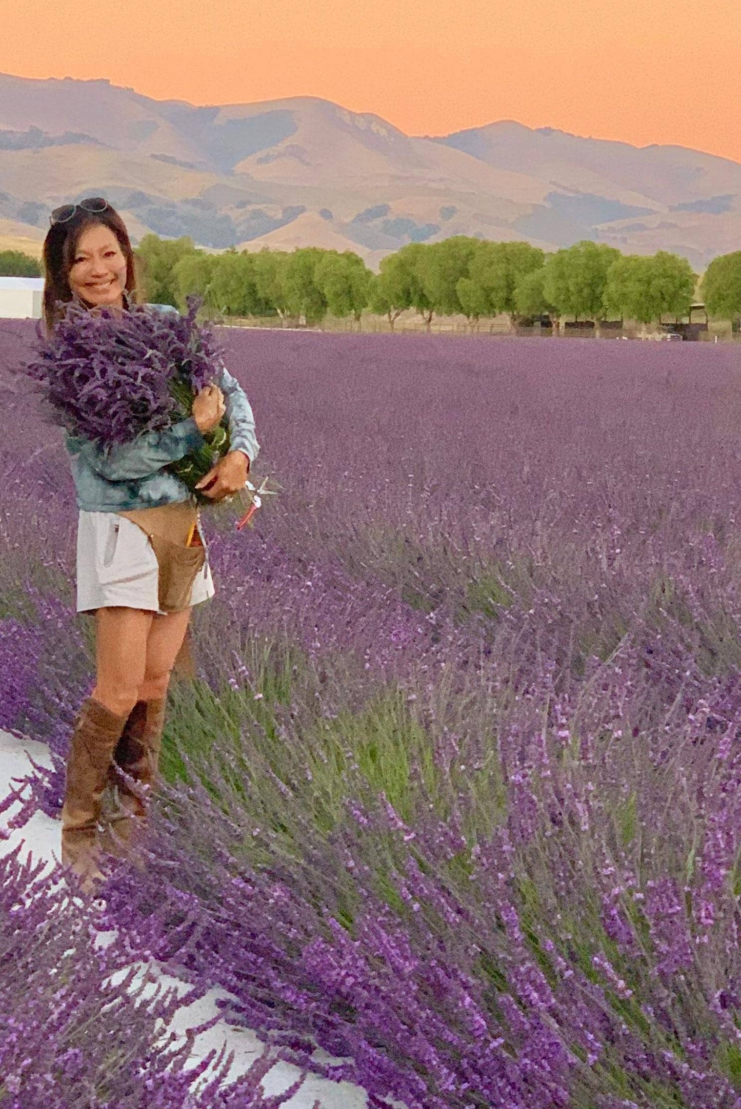 Lavender Posy Bouquet - Farm-Grown Dried Lavender: Purple
