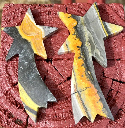 Bumblebee Jasper Shooting Star