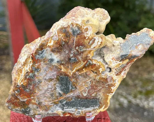 Indonesian Multi Color Petrified Wood Slab