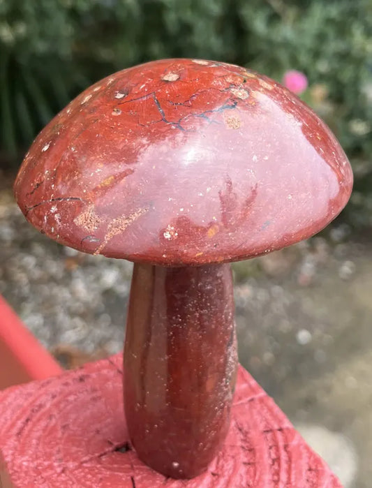 Giant Carved Mushroom- Agate