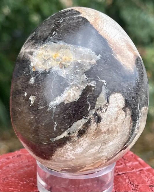 Petrified Wood Sphere