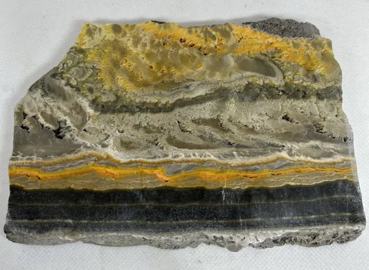 Bumblebee Jasper Slab