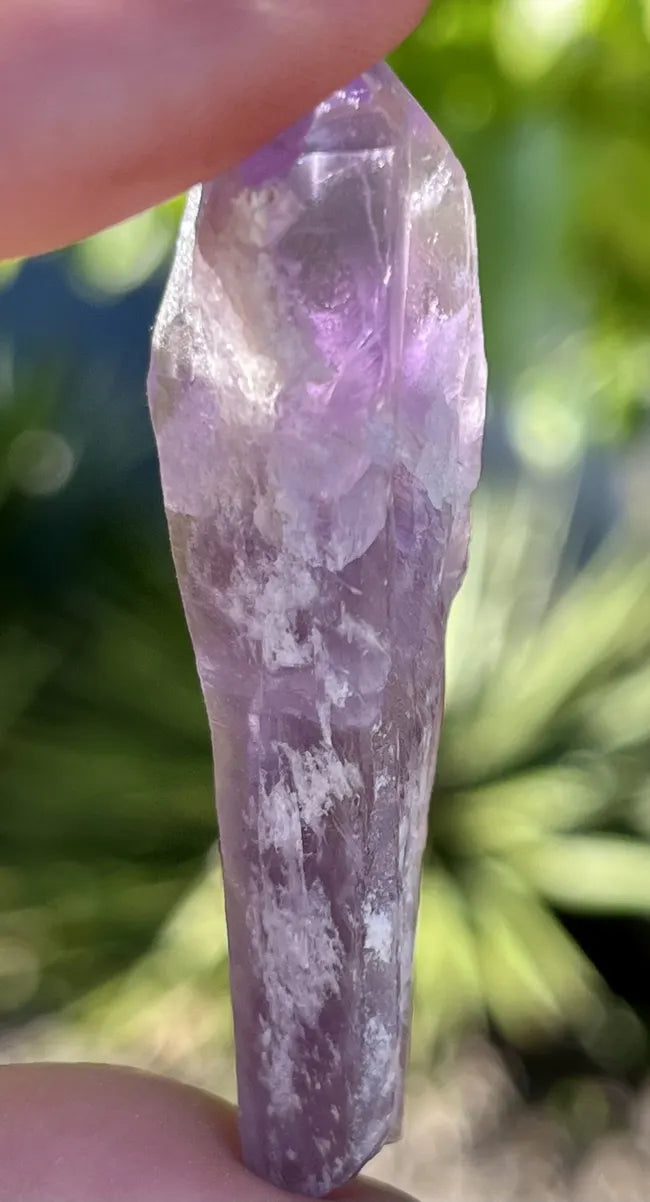 Dragons Teeth Amethyst Points