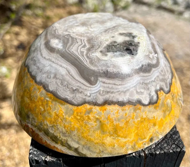 Bumblebee Jasper Bowl