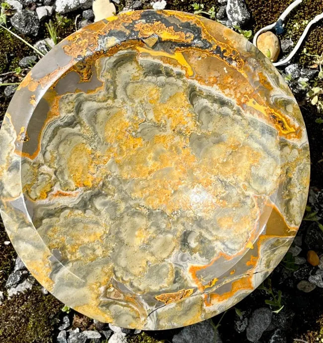 Bumblebee Jasper Bowl