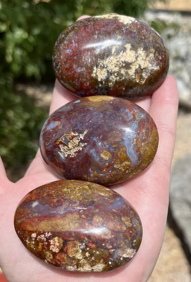 Moss Agate Palm Stones