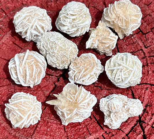 Desert Rose Small