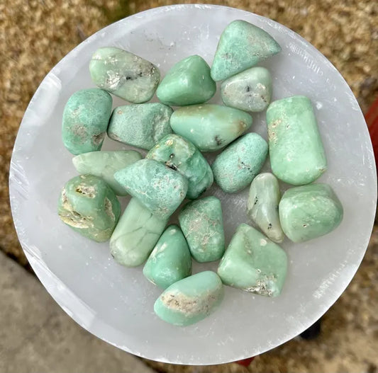 Chrysoprase Tumbled Stones