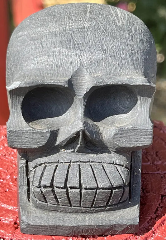 Carved Shungite Skull