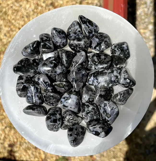 Indigo Gabbro Tumbled Stones